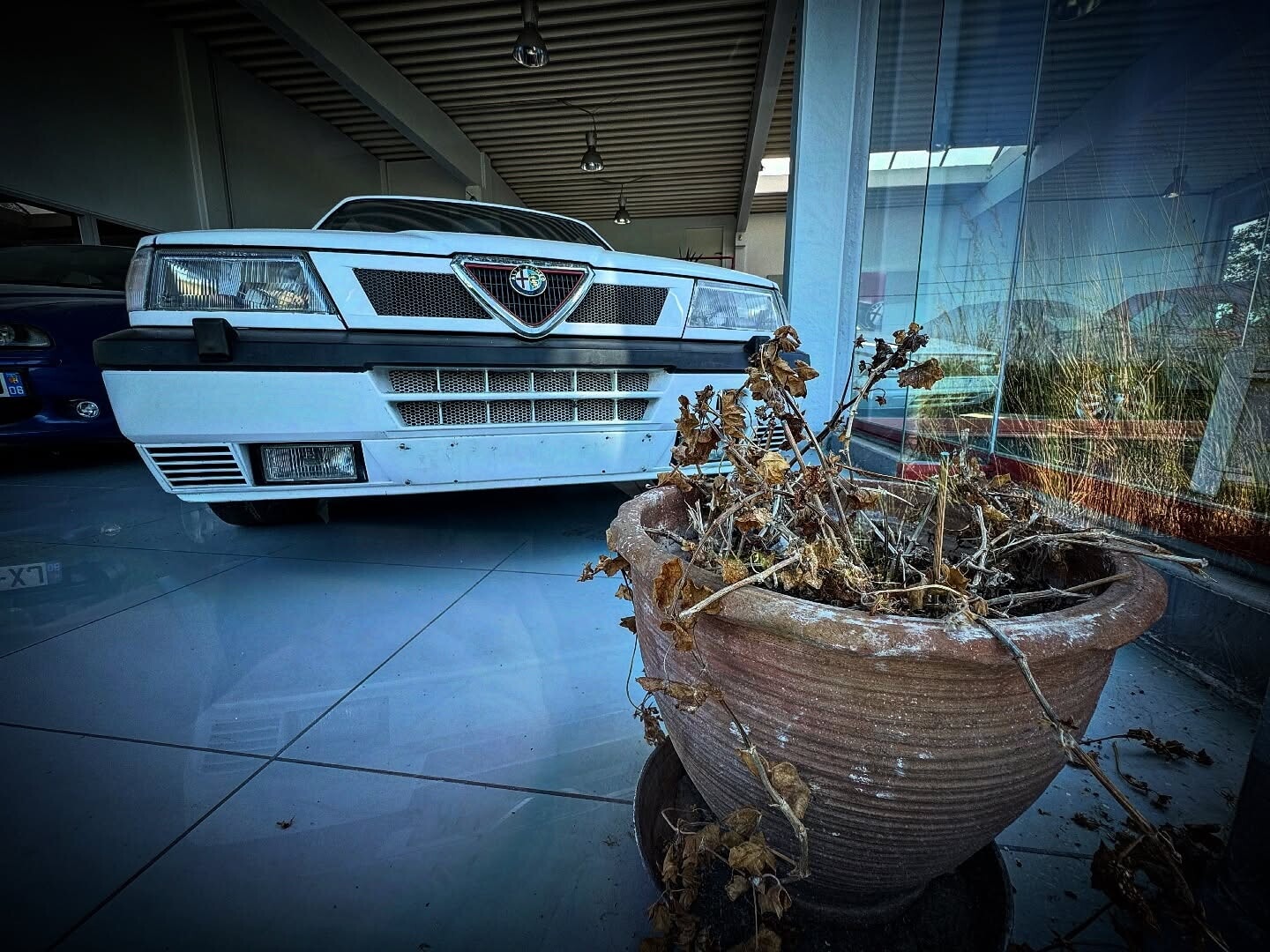 Il concessionario fantasma di Alfa Romeo in Olanda