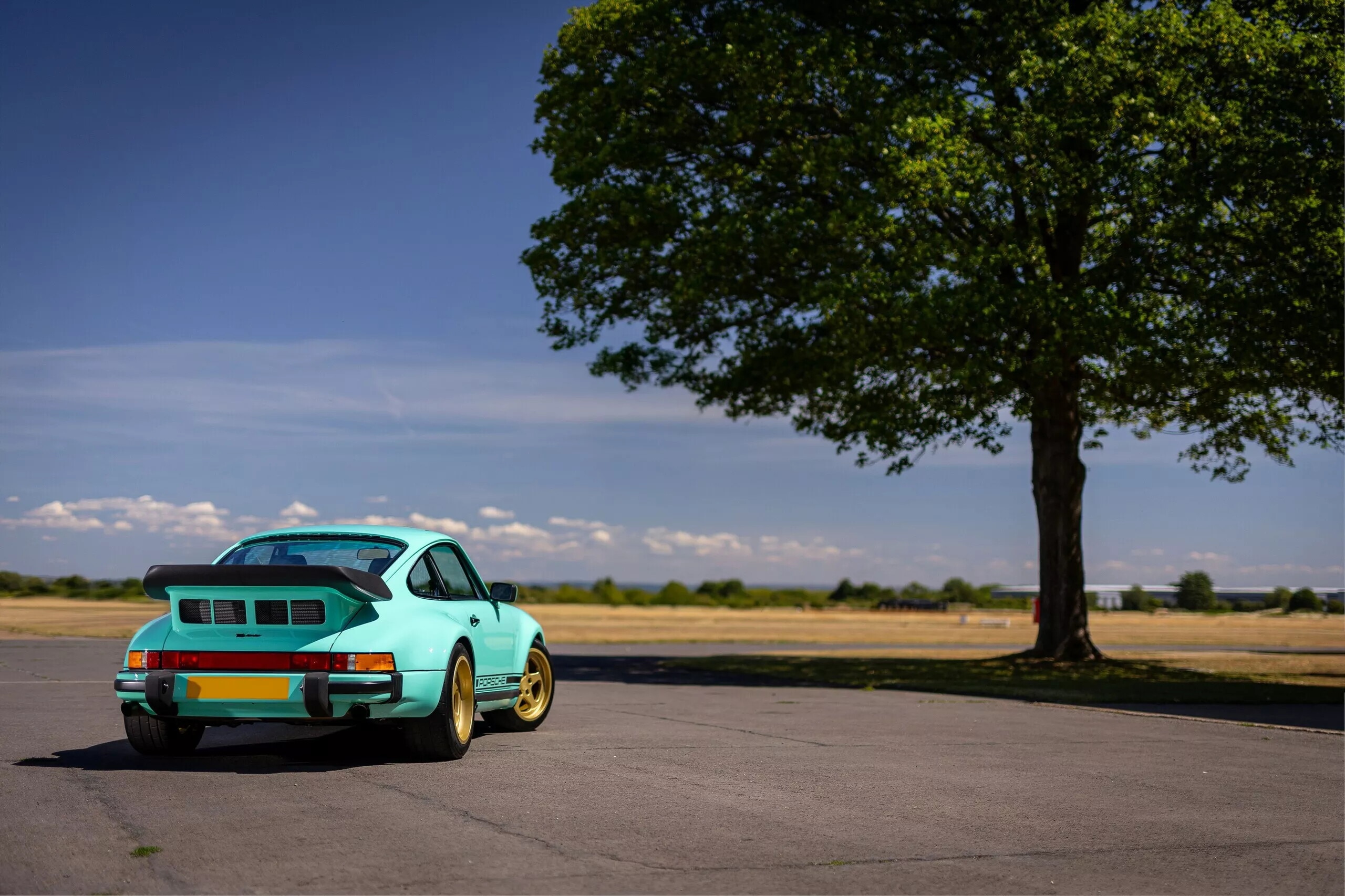  Le foto della Porsche 911 TAG Turbo by Lanzante
