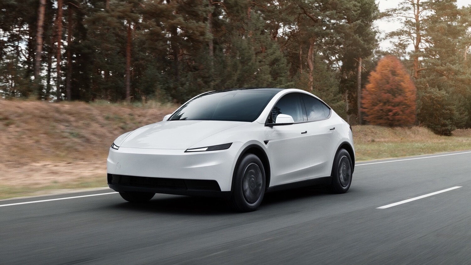 Tesla Model Y Standard, l'alternativa alla Premium