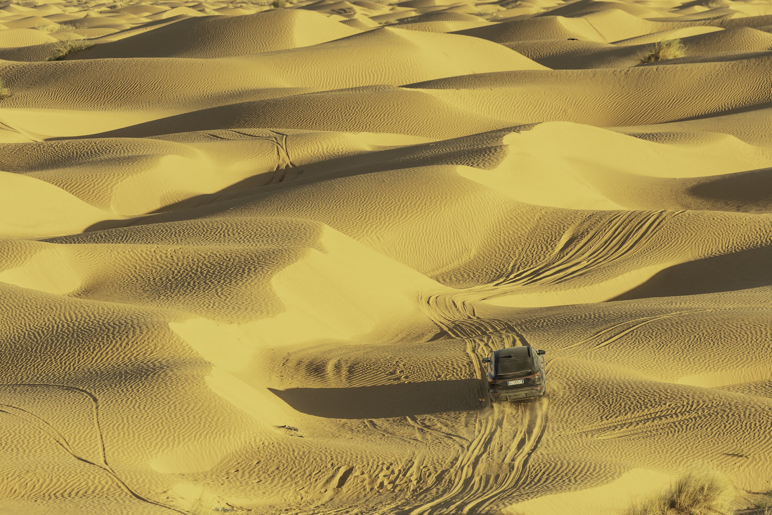 Audi SQ6, sfida al deserto 