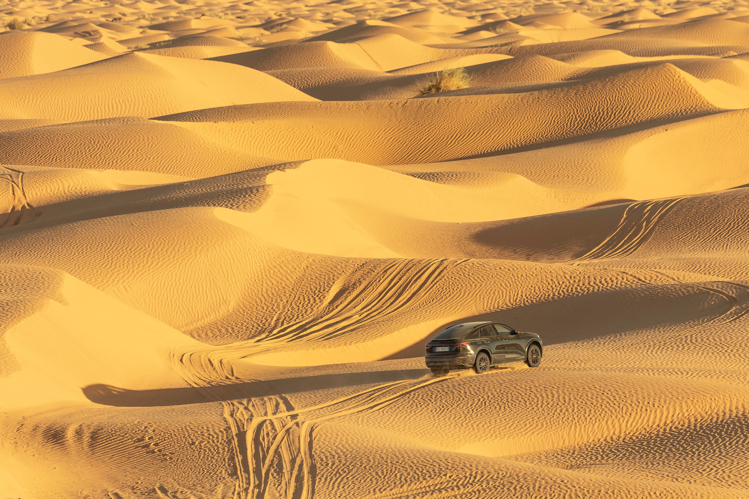 Audi SQ6, sfida al deserto 