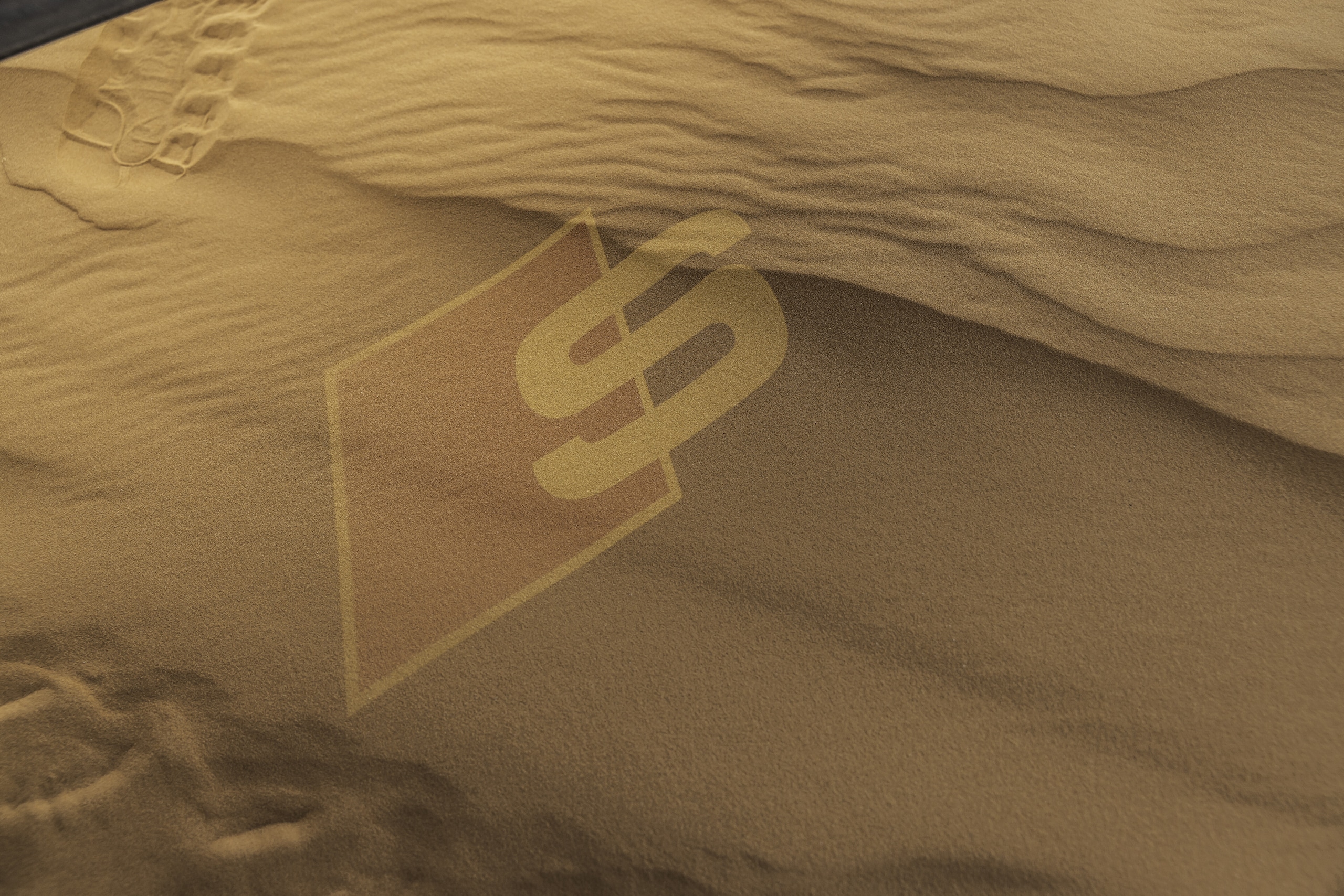 Audi SQ6, sfida al deserto 
