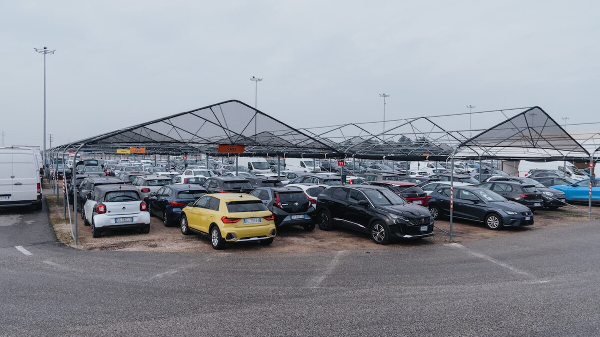 Tomasi Auto chiude il 2025 con oltre 19.000 vetture vendute e una crescita solida del 9%