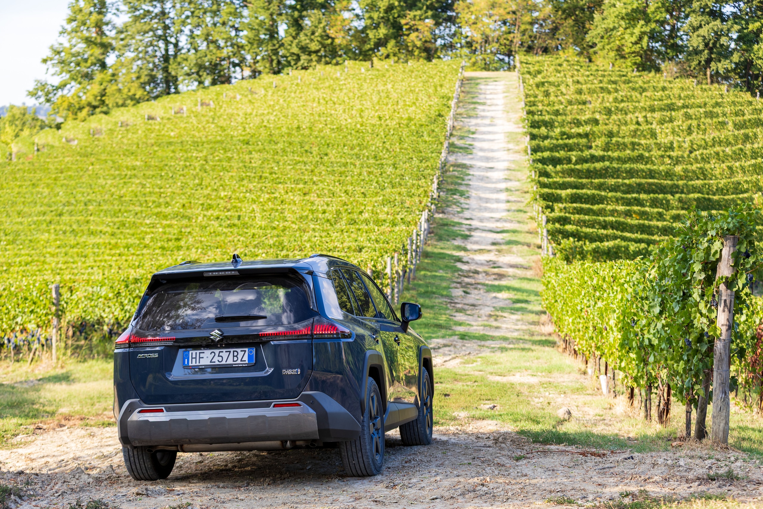 Suzuki Across, avventura integrale in plug-in