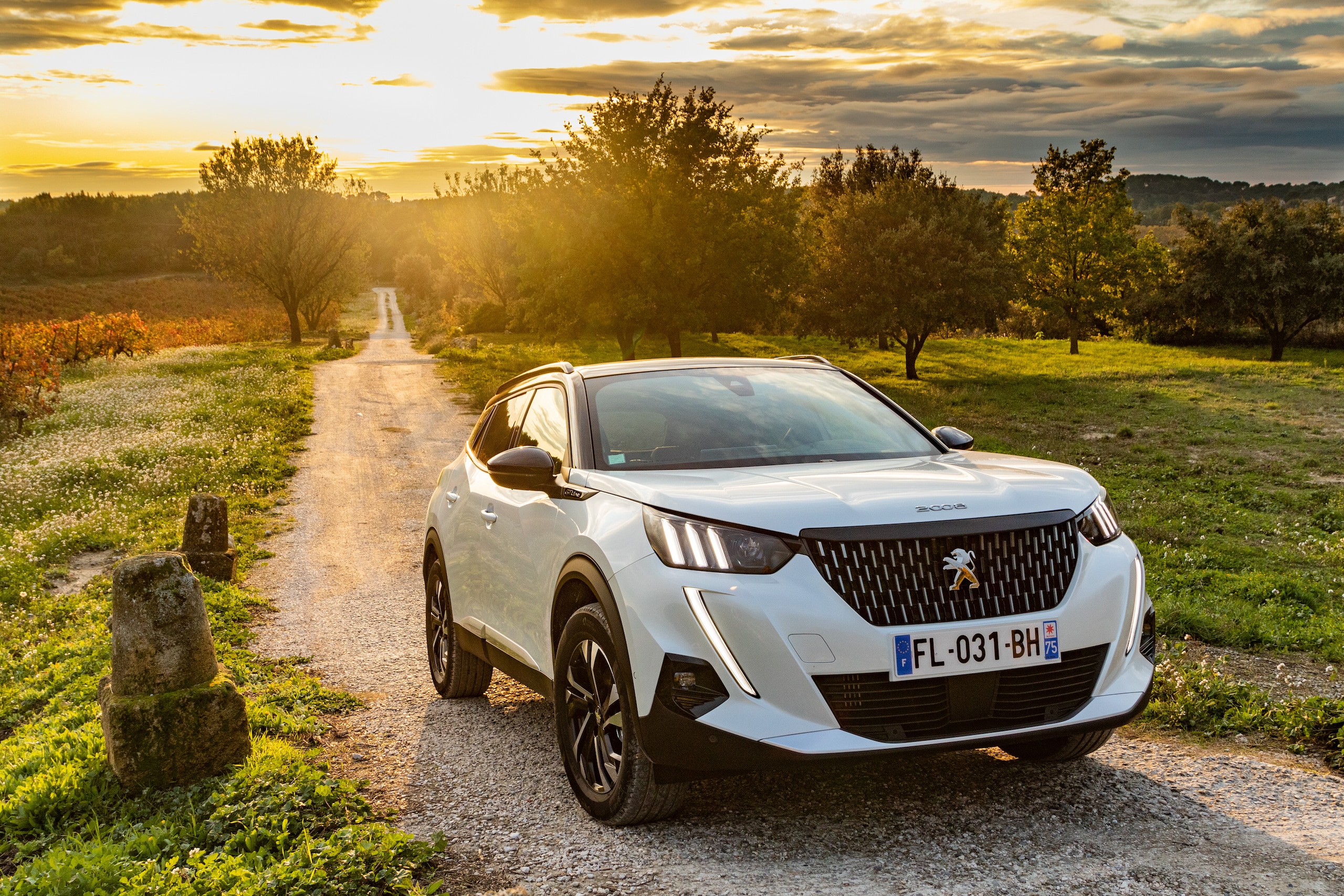 Clio, Renegade, 500X e... Le best seller 2020 che pagano il bollo