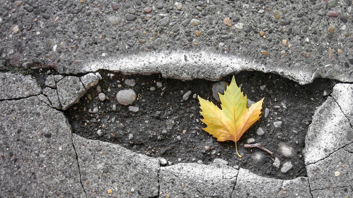 Buche per strada a Milano: il Comune non è responsabile per "cadute visibili"