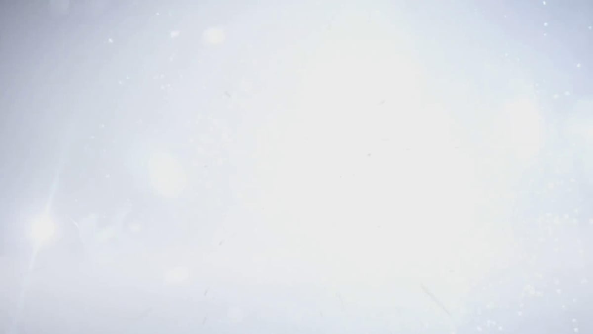 Nuova Range Rover 3.0 PHEV AWD, la tecnica