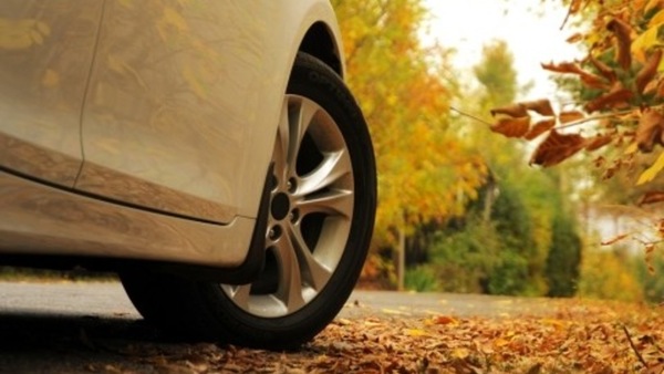 UNRAE, la lettera a Giorgia Meloni: "Soluzioni giuste per problemi urgenti"