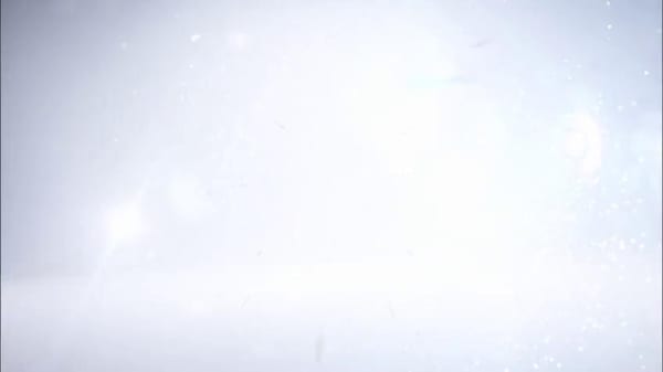 DS N° 4 eccola vista da vicino