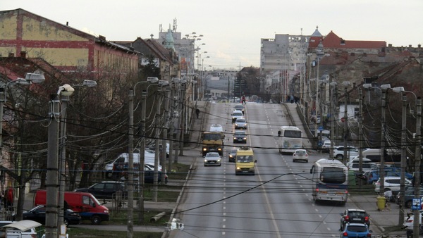 Bollino blu e certificato ambientale: obblighi e nuove regole