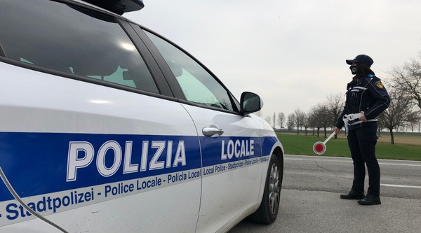 Vietate le auto di notte a Chiuro: stop per proteggere i cervi in amore
