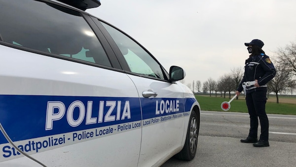 Vietate le auto di notte a Chiuro: stop per proteggere i cervi in amore