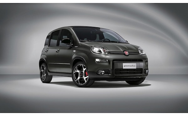 Perché la Fiat Panda si chiama così: la storia dietro il nome più famoso d’Italia