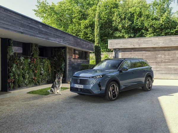 Un'auto da cani, finalmente: Peugeot E-5008 Dog Edition ama gli amici a 4 zampe