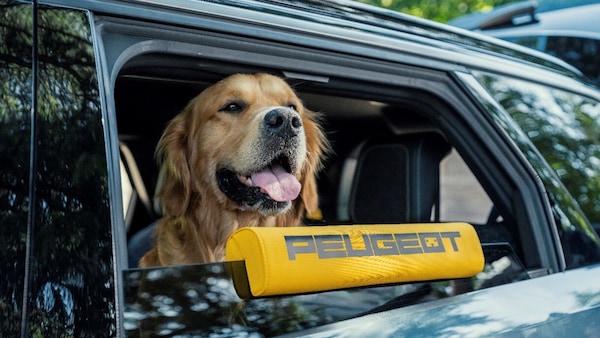 Peugeot E-5008 Dog Edition, il Suv su misura per gli amici a quattro zampe