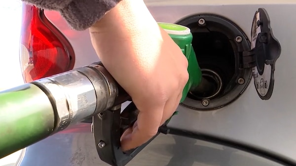 Carburanti, i prezzi di benzina e diesel sabato 31 ottobre